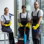Busy in Brisbane? Time-Saving Tips From Professional House Cleaners