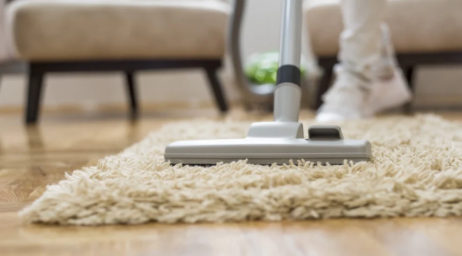 How Professional Carpet Cleaning Extends Carpet Life in Brisbane Homes