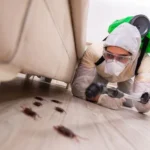 Pest Control Cleaning Services: What’s Included & What’s Not