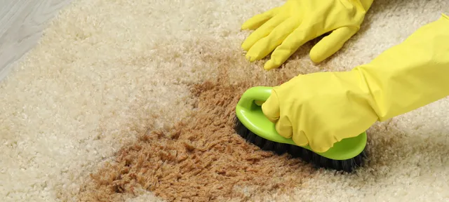 Professional Carpet Cleaning and How It Lengthens the Life of Your Carpet