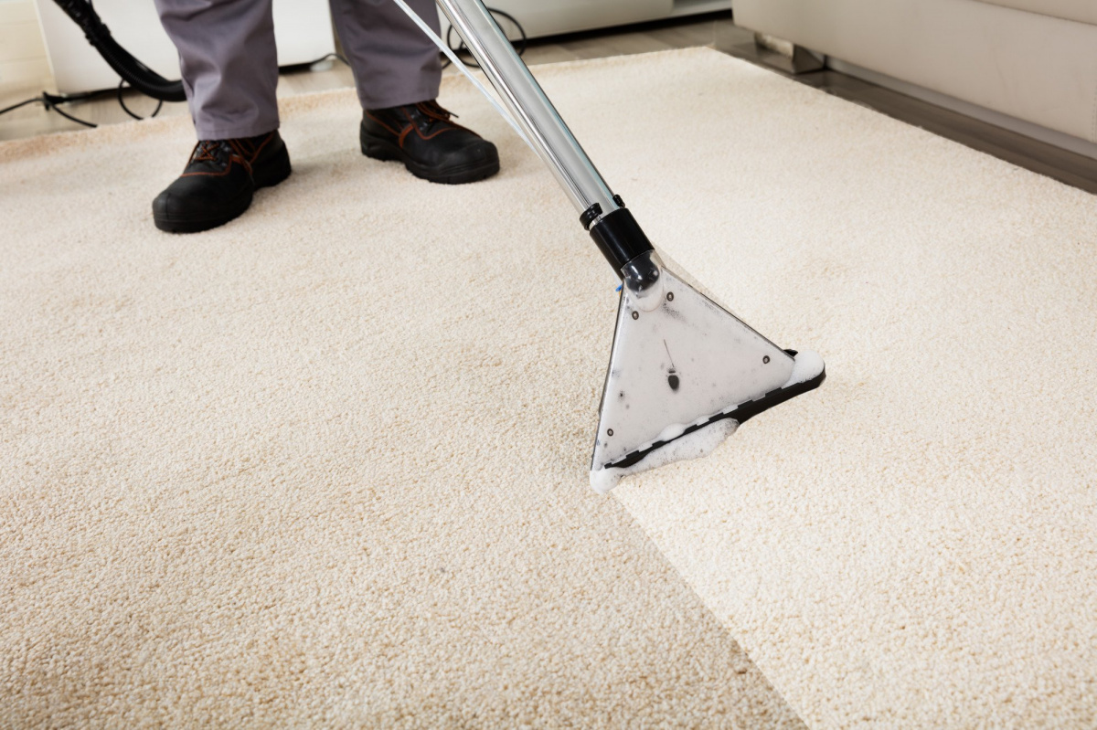What Is Professional Carpet Cleaning