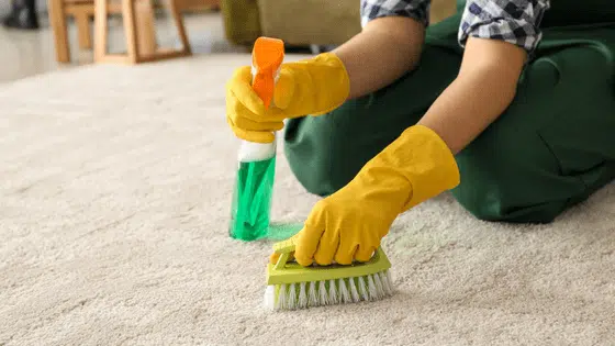 What are the top 7 Mistakes made by Tenants during carpet cleaning?