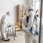 Pest Control Before Moving Out: Is It Mandatory in Brisbane?