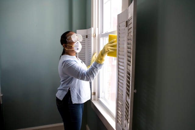 pest control in brisbane