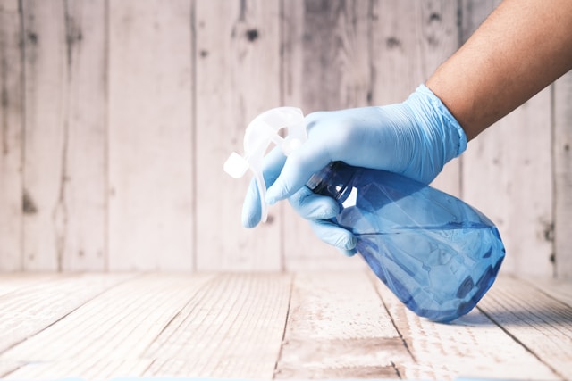 End of lease cleaning