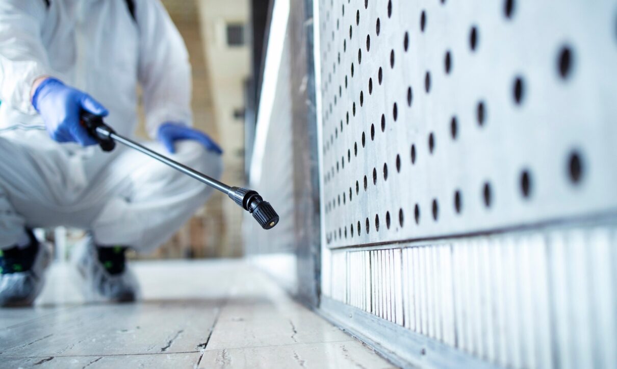shine carpet cleaning & pest services brisbane