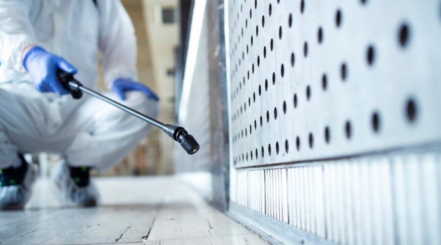 shine carpet cleaning & pest services brisbane